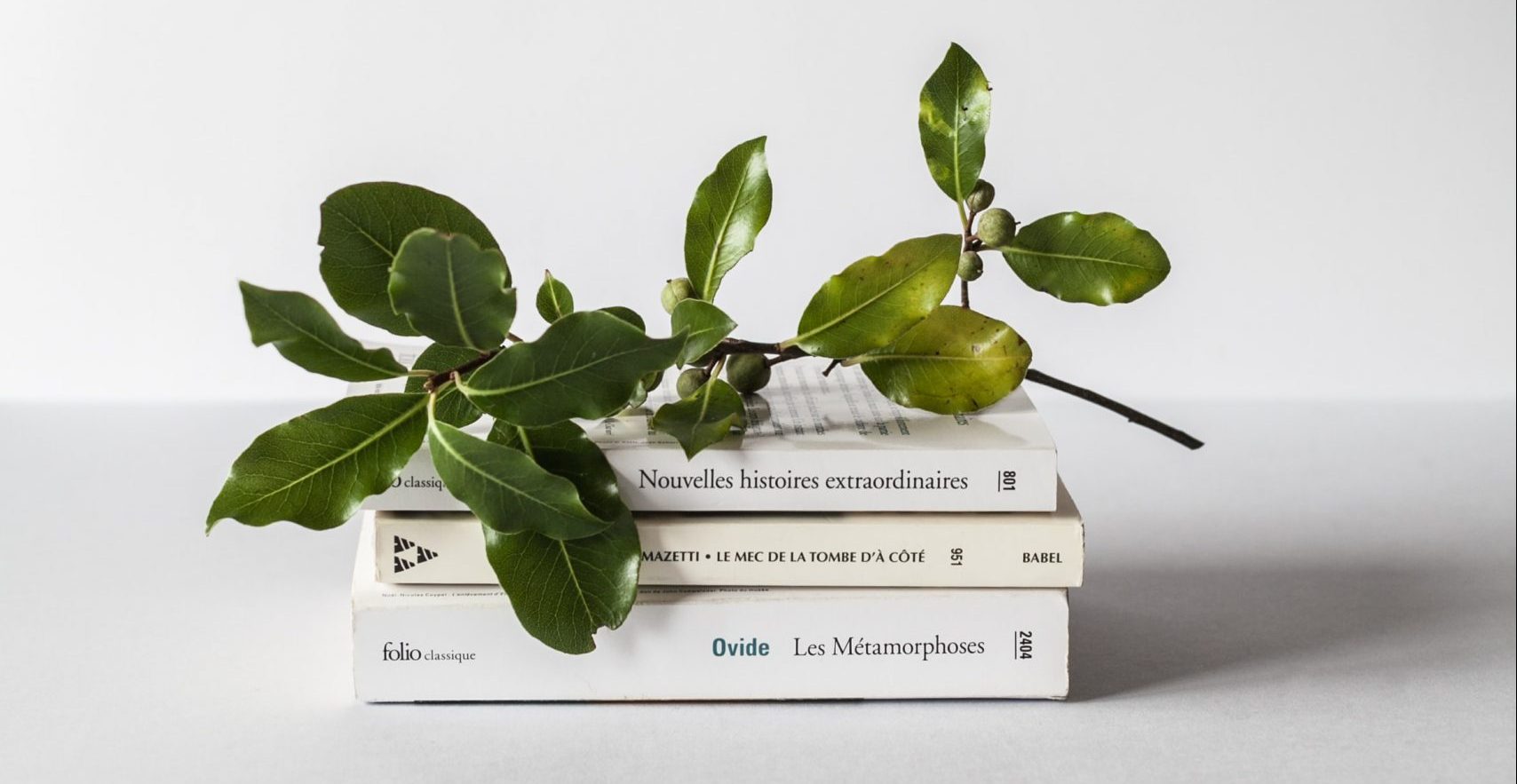 libros